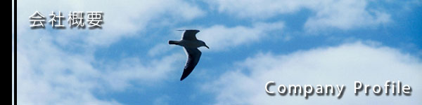 株式会社ダイム|会社概要|